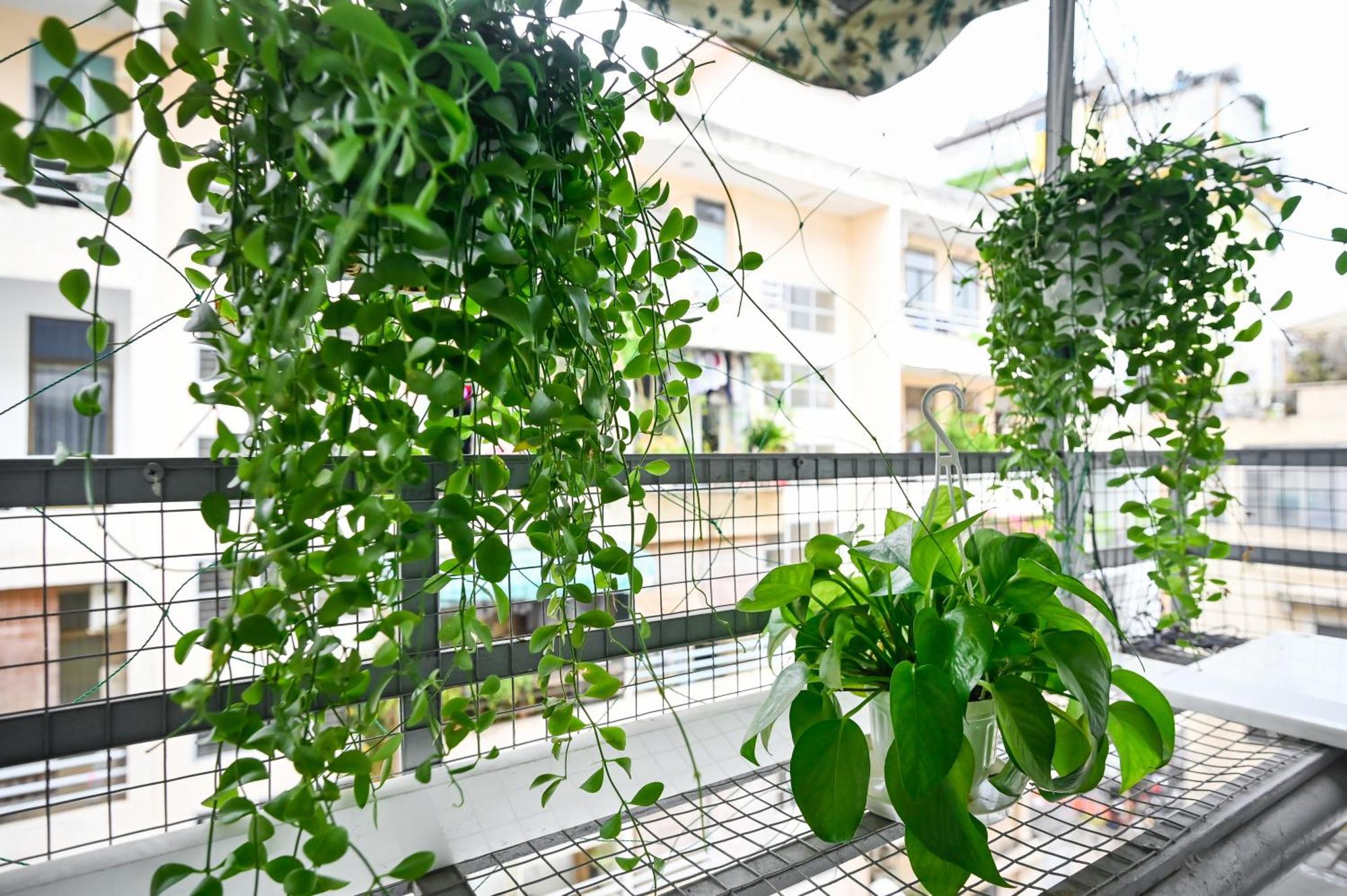 80m2 Apt, Bui Vien St, District 1, Hcmc Saigon * TP. Hồ Chí Minh