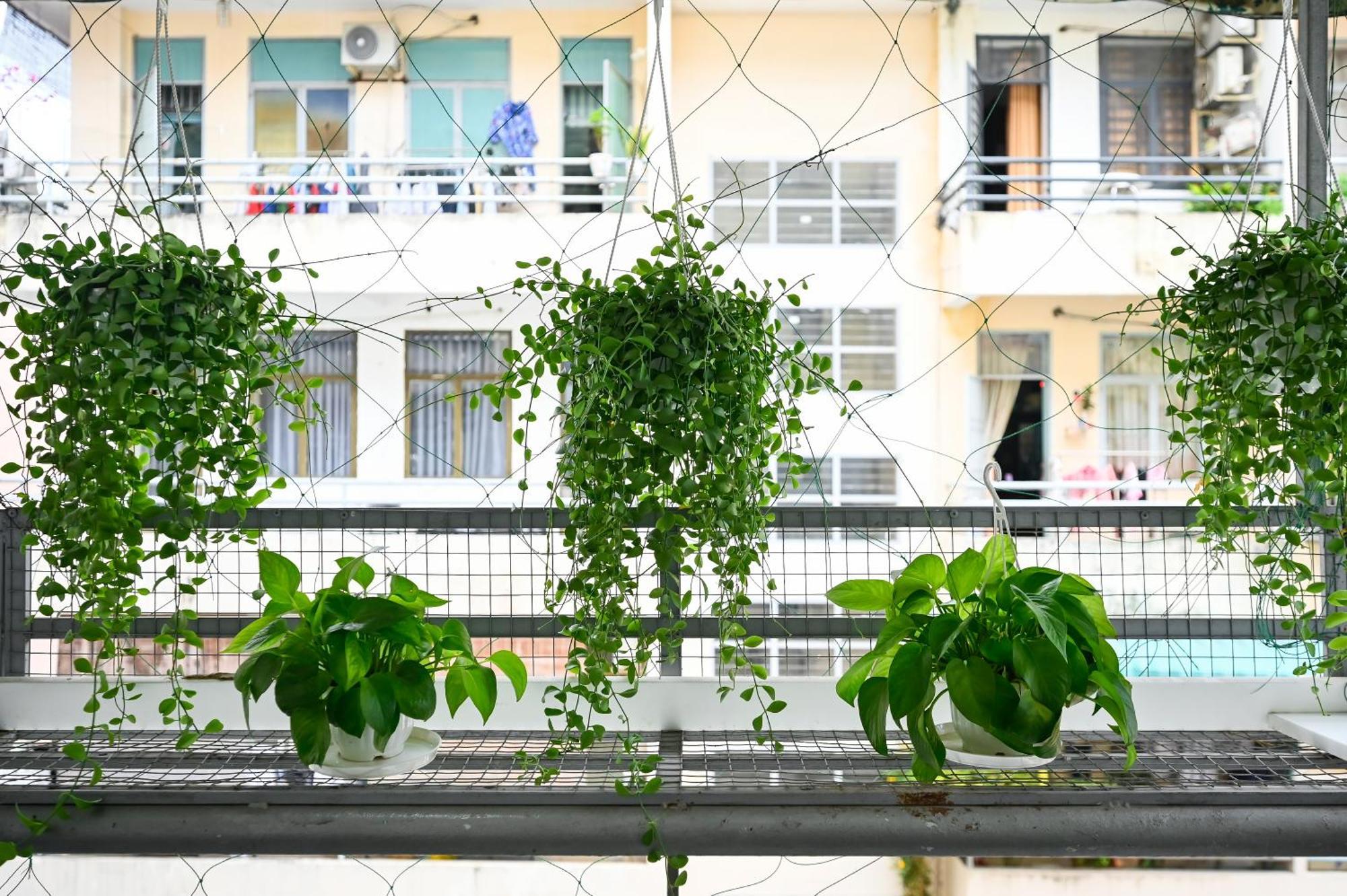 80m2 Apt, Bui Vien St, District 1, Hcmc Saigon *